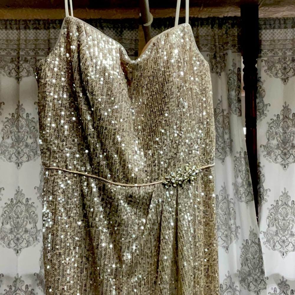 Bridesmaid, MOTB, Prom Dave and Johnny style 8567 size 9/10 Prom or Formal